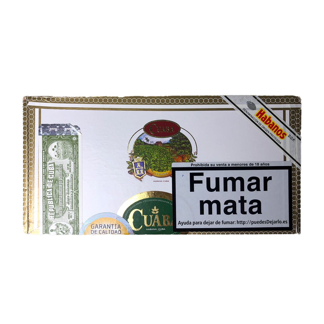 20240906164648587677722767365